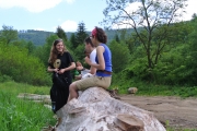 gocovo2016-06